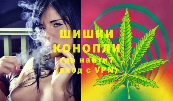 прущий лед Арсеньев